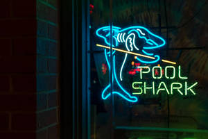 霓虹鯊魚拿著撞球桿，帶有「POOL SHARK」標誌在夜間磚牆上。 — 鯊魚 壁紙