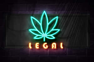 霓虹燈牌在夜間的磚牆上顯示大麻葉和「legal」一詞。 — 螢光綠 壁紙