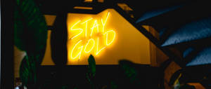 在昏暗的房間中，被深色樹葉包圍的「STAY GOLD」霓虹燈牌。 — 霓虹燈 壁紙