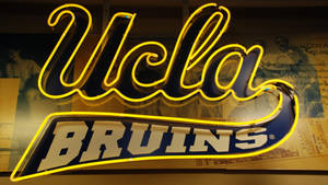 發光的UCLA Bruins霓虹燈牌，帶有黃色輪廓和藍色背景。 — 霓虹燈 壁紙