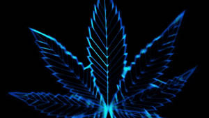 發光藍色霓虹大麻葉在黑色背景上 — 吸大麻 壁紙
