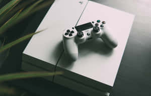 白色PlayStation 4手把放在主機上，附近有綠色植物葉子。 — 酷炫遊戲 壁紙