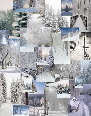 冬季森林場景，有被雪覆蓋的樹木、橋樑和小徑，在柔和的藍白燈光下。 — 冬季美學 壁紙