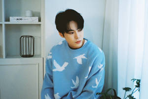 年輕男子穿著藍色鳥圖案毛衣，坐在室內窗邊，旁邊有植物。 — Nct 127 壁紙
