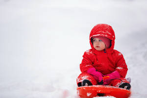 穿著紅色雪衣的小孩坐在雪地上的雪橇上 — 可愛 壁紙