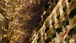節日城市夜景，有發光的樹和裝飾建築。 — 美麗聖誕 壁紙