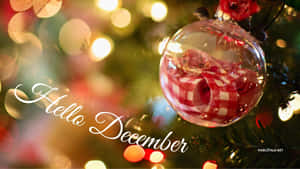 聖誕樹上一個紅白格子裝飾品，帶有發光的燈光和「Hello December」文字。 — 節日 GIF 壁紙