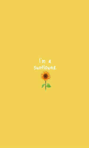 一個向日葵，背景為黃色，帶有文字「i'm a sunflower」。 — 復古90年代風格 壁紙