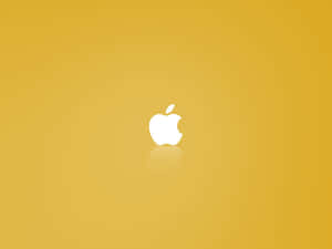 白色Apple標誌在金色背景上帶倒影 — 可愛的機器人 壁紙