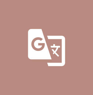 Google翻譯標誌圖標在赤陶背景上 — 海鮮 壁紙