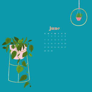 六月日曆，在青綠色背景上有盆栽植物。 — 六月 壁紙