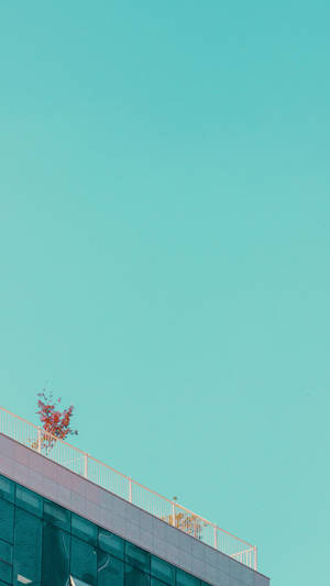 現代建築的屋頂角落，有一棵小紅植物，背景是青綠色天空。 — 碧蓝之海 壁紙