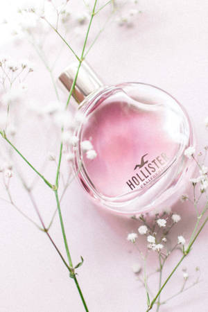 粉紅色Hollister香水瓶被滿天星花朵環繞。 — Hollister 壁紙