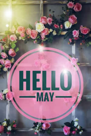 粉紅色「Hello May」標牌，以粉紅色和白色玫瑰點綴在木牆上。 — 五月 壁紙
