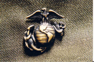 橄欖綠制服布料上的青銅色海軍陸戰隊徽章 — 珊瑚 壁紙