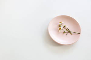 一個粉紅色盤子，上面有小白雛菊，放在白色表面上。 — 粉紅色美學桌面 壁紙