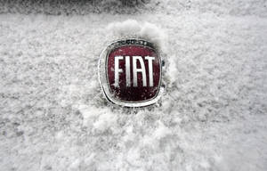 Fiat汽車標誌部分被雪覆蓋。 — 飛雅特 壁紙