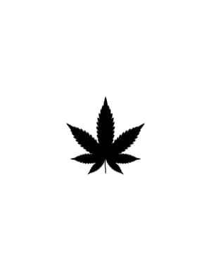 白色背景上的黑色大麻葉圖標 — 吸大麻 壁紙