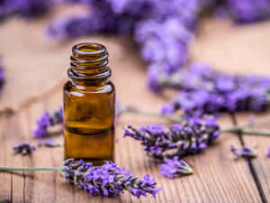 琥珀色薰衣草油瓶被新鮮薰衣草花圍繞在木頭上。 — 4:3 壁紙