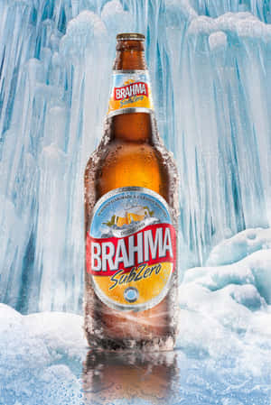 一個冰涼的 Brahma SubZero 啤酒瓶被冰雪包圍。 — 冰 壁紙