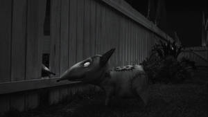 縫合生物發光的眼睛在夜間從木柵欄後面窺視。 — 科學怪犬 壁紙