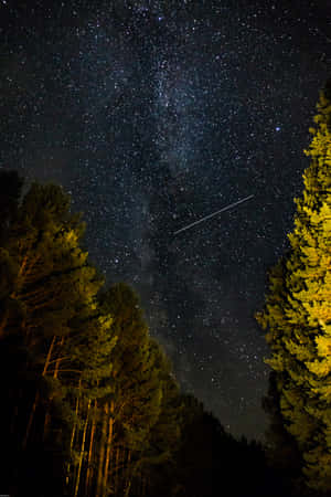 一顆流星劃過松樹林上方的繁星點點夜空。 — POCO Pad 壁紙
