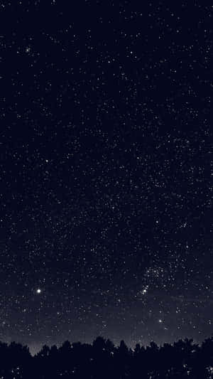 黑暗森林剪影之上的繁星點點夜空。 — 暮光 壁紙