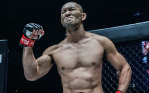 一位勝利的MMA拳手在八角籠內高舉拳頭。 — 運動 壁紙