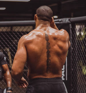 刺青運動員在MMA籠內準備比賽。 — 終極格鬥冠軍賽 壁紙