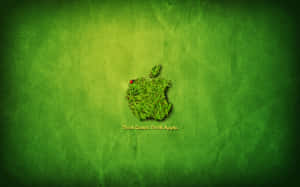 草製Apple標誌、瓢蟲及標語Think Green Think Apple，置於綠色紋理背景上。 — 極簡美學桌面 壁紙