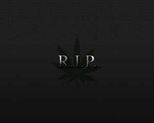 在深色紋理背景上，大麻葉上方的R.I.P.文字。 — 5:4 壁紙