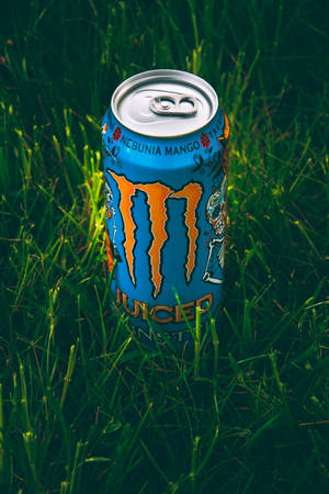 藍色和橙色的Monster Energy罐放在綠草中。