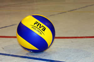 FIVB官方排球在室內球場地板上，有油漆線條。 — 排球 壁紙