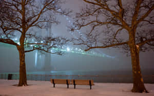 光禿樹木下的積雪公園長椅，薄霧夜晚中的發光橋樑。 — 冬季風景 壁紙