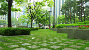 綠色公園，有石徑和人們在雨中撐傘的城市景象。 — 德黑蘭 壁紙
