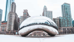 雪白的豆形雕塑在冬天反射芝加哥的天際線。 — 芝加哥 壁紙