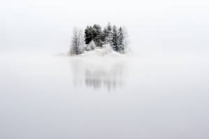 雪島上的樹木倒映在霧湖中 — 瑞典 壁紙
