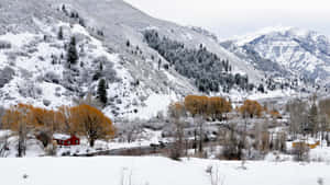 雪山、紅色小屋和河邊金色樹木。 — 冬季風景 壁紙