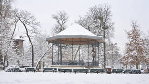 寧靜冬季公園中被雪覆蓋的音樂亭，伴隨著光禿禿的樹木和長椅。 — 寒冷 壁紙