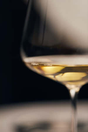 一個裝有金色液體的酒杯在深色背景上。 — 葡萄酒 壁紙