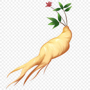 人參根、綠葉和紅色漿果 — 植物美學 壁紙