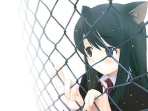 貓耳動漫少女在鐵絲網圍欄後穿著校服 — 動漫貓 壁紙