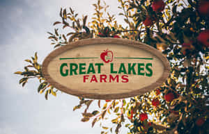 寫有 Great Lakes Farms 的木製農場招牌，被蘋果樹枝和果實環繞。 — 森林湖泊 壁紙