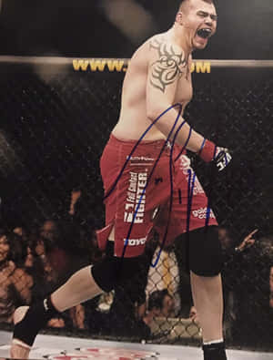 MMA 戰士在八角籠中與鐵絲網後的人群慶祝勝利。 — 3:4 壁紙