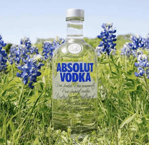 Absolut Vodka酒瓶被草地上的藍帽花環繞。 — 花 壁紙
