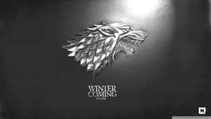 金屬冰原狼徽章，深色背景上帶有 'Winter is Coming Stark' 文字。 — 銀色 壁紙