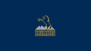 Brumbies Rugby 標誌，藍色背景上有一匹躍立馬匹越過山脈。 — 高解析度馬匹 壁紙