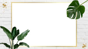 金色邊框的白色空間，在帶有金色潑濺的白色磚牆上擺放熱帶植物。 — 植物美學 壁紙