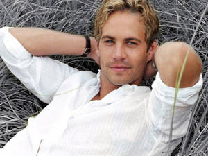 穿白襯衫的男人躺在高高的灰色草叢中對著鏡頭微笑 — 保羅·沃克 壁紙
