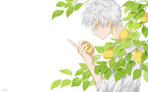 銀髮動漫男孩拿著一個被綠葉包圍的檸檬。 — 可愛的動漫角色 壁紙